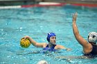 WWPolo vs CC  Wheaton College Women’s Water Polo compete in their sports inaugural match vs Connecticut College. - Photo By: KEITH NORDSTROM : Wheaton, water polo, inaugural